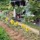 명대농장 이미지