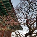 서창도서관 이미지