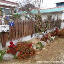 성당포구마을 이미지