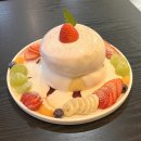 다난작은도서관 | 투병일기1 30살 인생 첫 건강검진과 첫 외래진료ㅣ수신증 및 혹 신장 제거수술