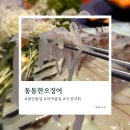 통통한 오징어 발산역점 | 마곡 술집 횟집 통통한오징어 발산역점 오징어회 내돈내산