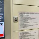 2021 K리그1 서울vs광주 | K리그1 광주FC vs FC서울 우중전 직관 후기 241006