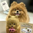 멍멍미식회 이미지