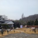 포토샵으로 내 사진 꾸미기 | W. 수원 하우스웨딩 라온몽드 결혼식 후기