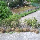 혜원유치원 이미지