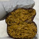 경기도 수원시 장안구 파장천로44번길 이미지