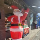 :: 파리바게뜨 정자동신점 :: 윈터베리 타르트 내돈내산 후기