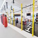 다산 MMA STORY 이미지