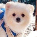 슈즈팩토리 이미지