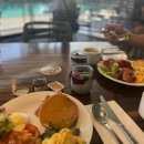 갤러리 코랄 리프 커피 | 호주 신혼여행 해밀턴아일랜드 리프뷰 호텔 후기, 공항 셔틀 조식 헬스장 세탁기 후기