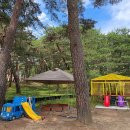 상주 드림키즈풀빌라 이미지