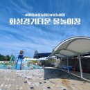 (주)다솔 | [경기/화성향남]물놀이장/화성 경기 타운 물놀이터 후기