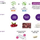 비타약사몰