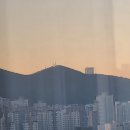 부산 장산 산행(반여동신동아아파트~주봉~정상~모정원~대천공원) 이미지