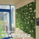 레인보우키즈어린이집 | 안양 조화플랜테리어 어린이집/사옥 공간 맞춤형 조경