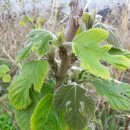 한담공원 이미지