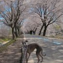 로앤백