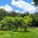 농산별업 이미지