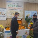 제주특별자치도청 이미지