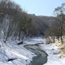 복심목장 | [김한들의 그림 아로새기기] 매화 망울 터트리는 봄… 사군자의 고혹적 기품 엿보다