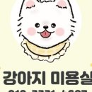 뽀송뽀송강아지미용실 이미지