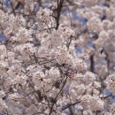 삼산1길 이미지