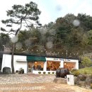 묘곡내동길 이미지