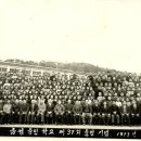 금성초 이미지