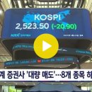 2023. 4. 24. 8개 종목이 한꺼번에 하한가…오늘 증시 대체 무슨 일이 / SBS 8뉴스 이미지