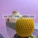 과일깎는오빠 이미지