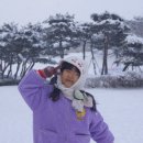 상당산성 Daum카페