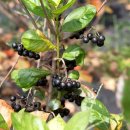 부농농장 이미지