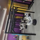 월드성인게임장 이미지