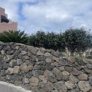 GS25신촌포구점 이미지