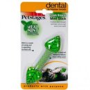 제이제이캣 이미지