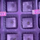 장훈농장 이미지