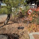 장척힐링 농촌체험마을 | 대구 군위 사라온이야기마을 포토 맛집 가족 체험 공간