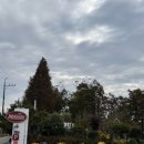 강동로-37 이미지