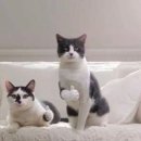 감천의 하늘 이미지