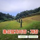 홍성군매안심센터 | 홍성묘지이장 묘지개장 파묘 후 납골당으로 이전절차