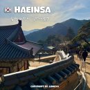 달달스테이 | 합천 해인사 팔만대장경 입장료 주차장 꿀팁 템플스테이 카페 후기