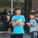 안양양지초등학교 이미지