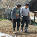 남전농장 이미지