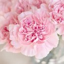 영유아교수방법 이미지