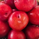 대석농장 이미지