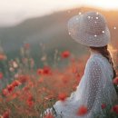 그리움 언제나/ 이 성 지 이미지