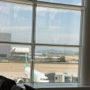 724 | 에어서울 임산부 탑승 후기24주 태교여행 (후쿠오카 공항) RS727·RS724 이용 솔직후기
