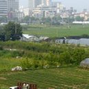 어뮤즈타운 이미지