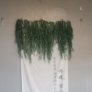 카페 청굴물 [<b>카페</b> <b>청굴물</b>] 뷰맛집 라떼맛집 <b>카페</b>추천