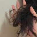 무아 | 헤어팩 추천 솔직후기 극손상모 복구템 에끌무아 트리트먼트